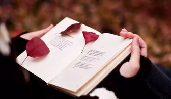 流动书香进园区，现场办证悦读行——江宁区图书馆流动图书车走进南京同仁